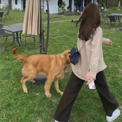 杀手老婆的保镳